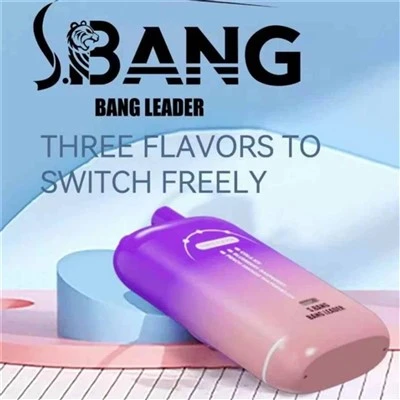 Bang Leader 80000 Puffs Triple Flavors